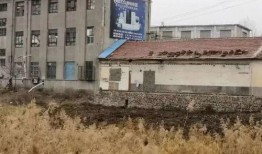 爆料龙口违建事件最新,揭秘背后真相与整治行动进展