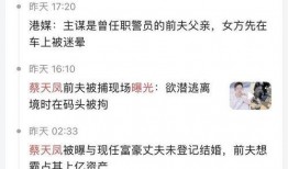 蔡天凤案件爆料最新消息,揭秘背后惊人真相！”